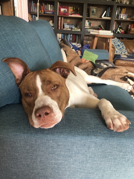 Penny