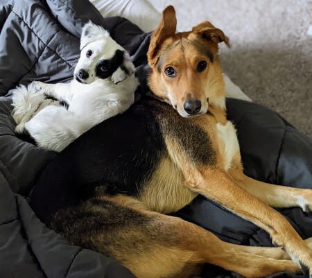 Arlo and Louise
