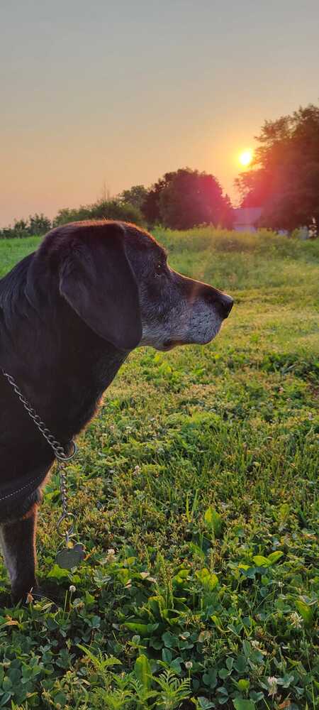 Buster