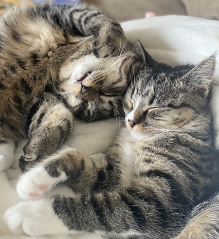 Finn & Daisy
