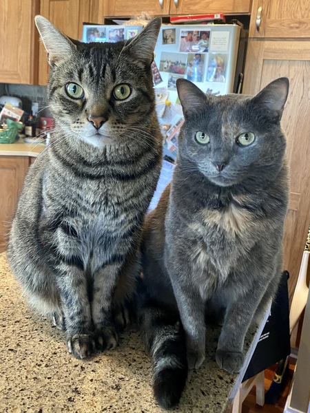 Finnegan & Frances