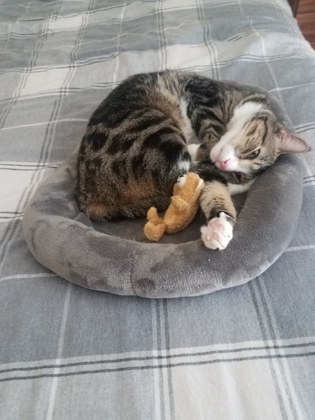 Hobbes