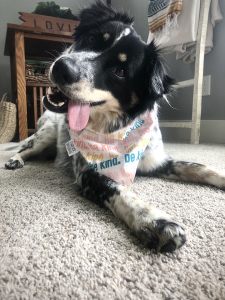 Penny