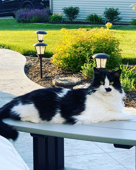 TJ