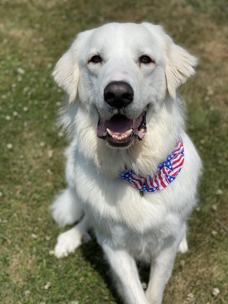 Montana 