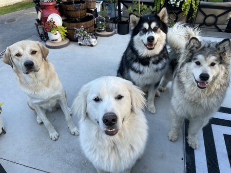 Tucker, Xander, Xeno, & Xaeda