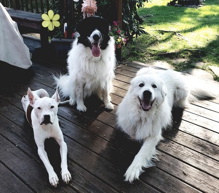 Penni, Waylon and Magnolia