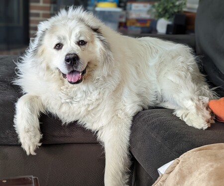 Casper