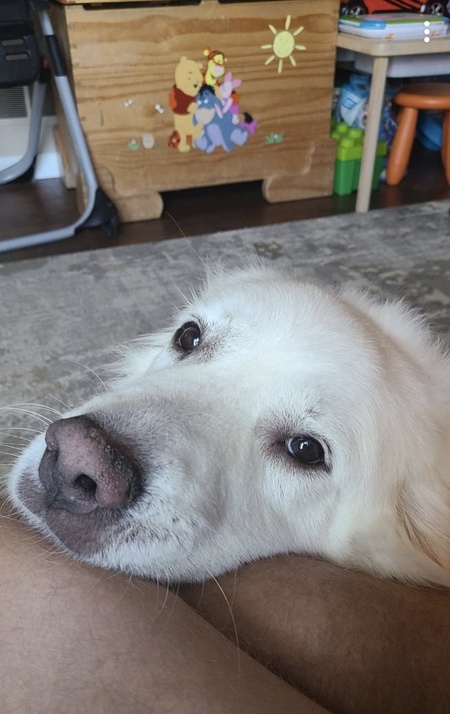Fiona