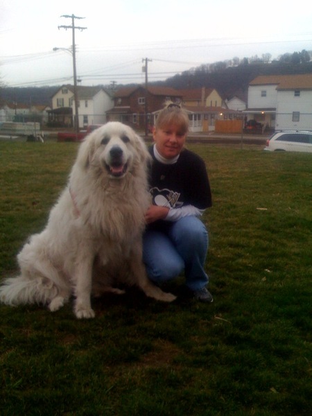 Cooper