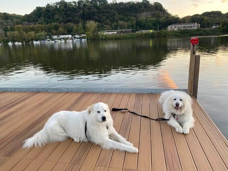Shelby & Sebastian