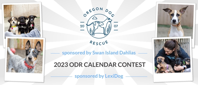 Oregon Dog Rescue | 2023 Oregon Dog Rescue Calendar Contest sponsored by Swan Island Dahlias and LexiDog Oregon Dog Rescue | 2023 Oregon Dog Rescue Calendar Contest sponsored by Swan Island Dahlias and LexiDog