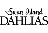 Swan Island Dahlias