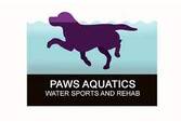 Paws rehab