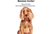 Banana Cocker