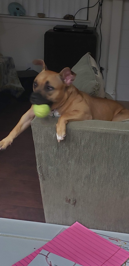 Mia