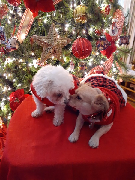 Bella & Frida