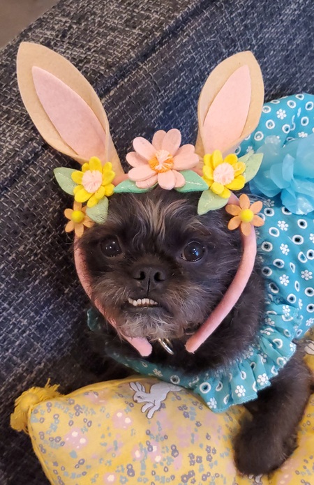 Betty 