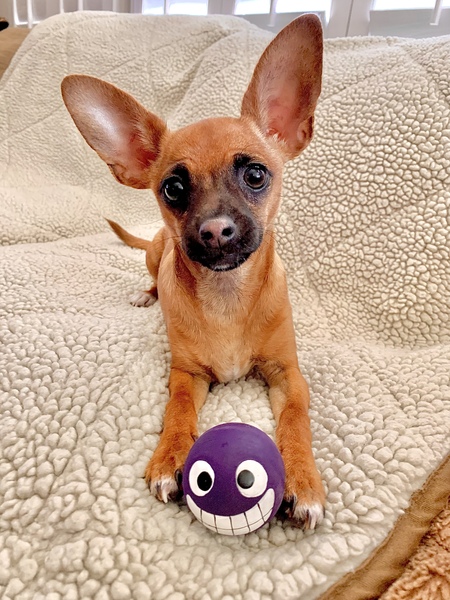 Coco
