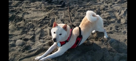 Yuki