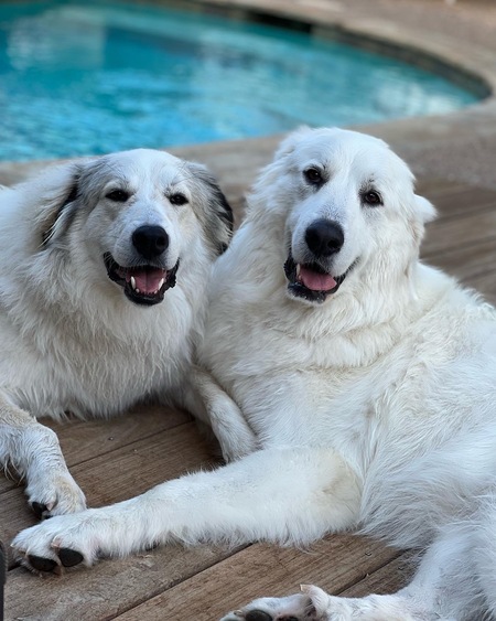 Hank & Lucy