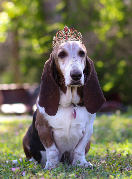 Entry image for Maybell. Clicking this image will show a larger photo