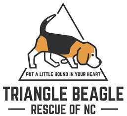 Logo for 2023 Triangle Beagle Rescue Calendar Contest