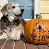 Entry image for Lil Bit 