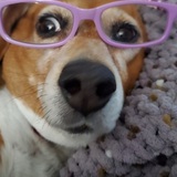 Entry image for Mandy