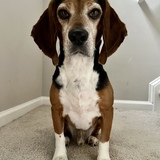 Entry image for Bane