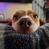 Entry image for Darryl