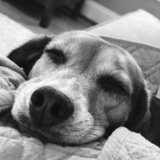 Entry image for Katie