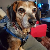 Entry image for Destiny 