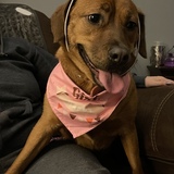 Entry image for Zoey 