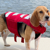 Entry image for Finn