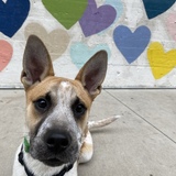 Entry image for Franklin 