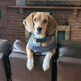 Entry image for Pippi Longstocking 