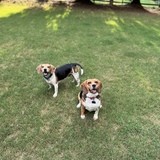 Entry image for Casey & Lizzie