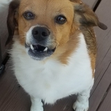 Entry image for Kassie