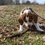 Entry image for Juneau