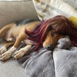 Entry image for Oakley