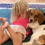 Entry image for Jagger