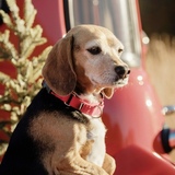 Entry image for Autumn 