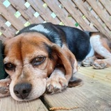 Entry image for Gloria