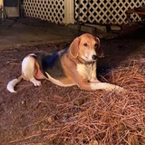 Entry image for Miss Beasley