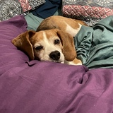 Entry image for Willa