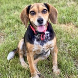 Entry image for Maggie