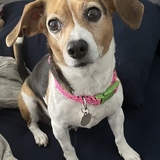 Entry image for Kallie