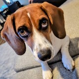 Entry image for Maddie 