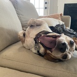 Entry image for Fred